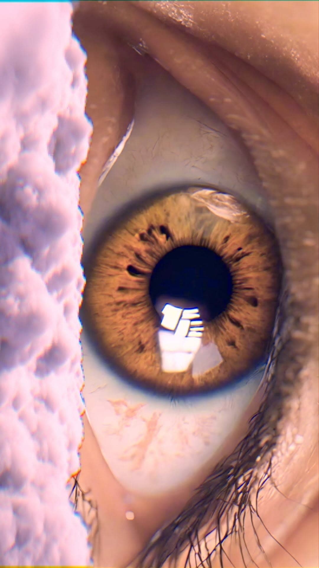 صورة اعلان نشرة قبل النوم